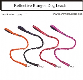 Bungee Dog Leash Stretch Elastic Dog Lead