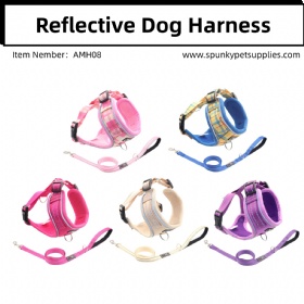 Reflective Dog Harness and Leash