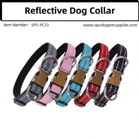 Reflective Nylon dog collar with two D Ring
