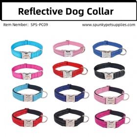Reflective Dog Collar with Metal Buckle